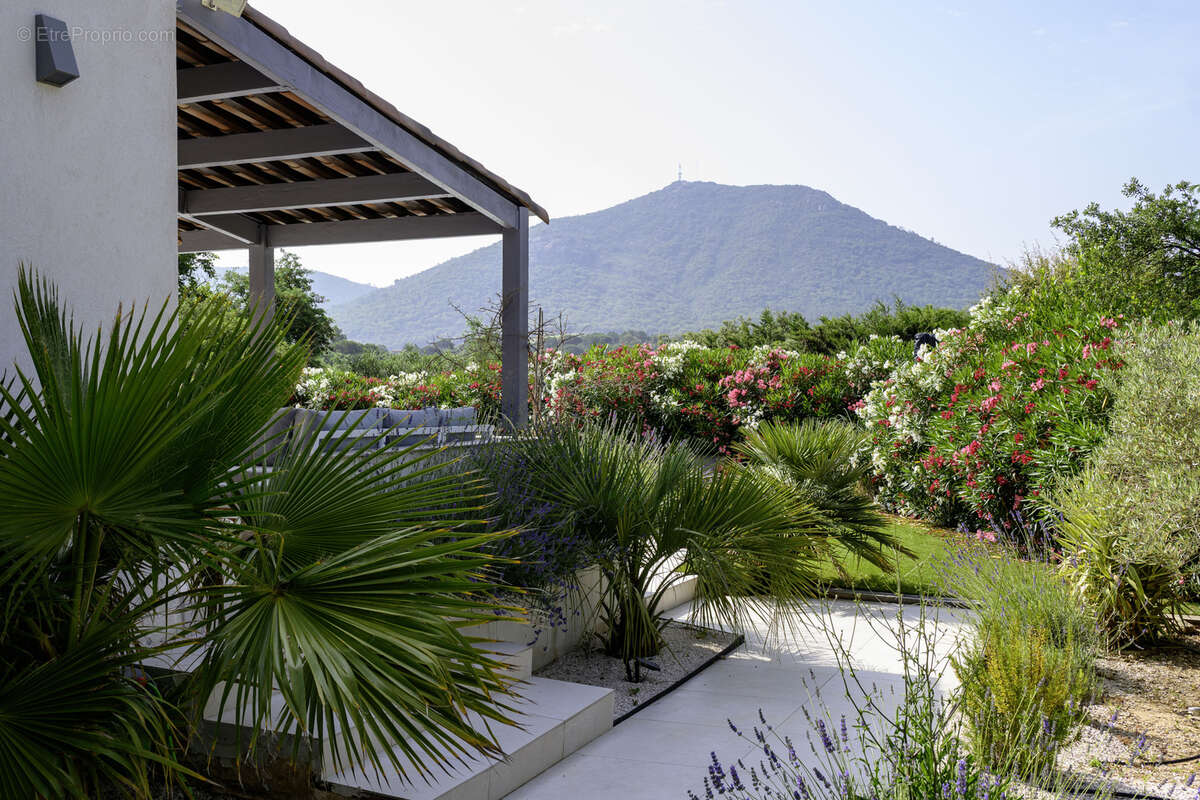 Maison à PLAN-DE-LA-TOUR