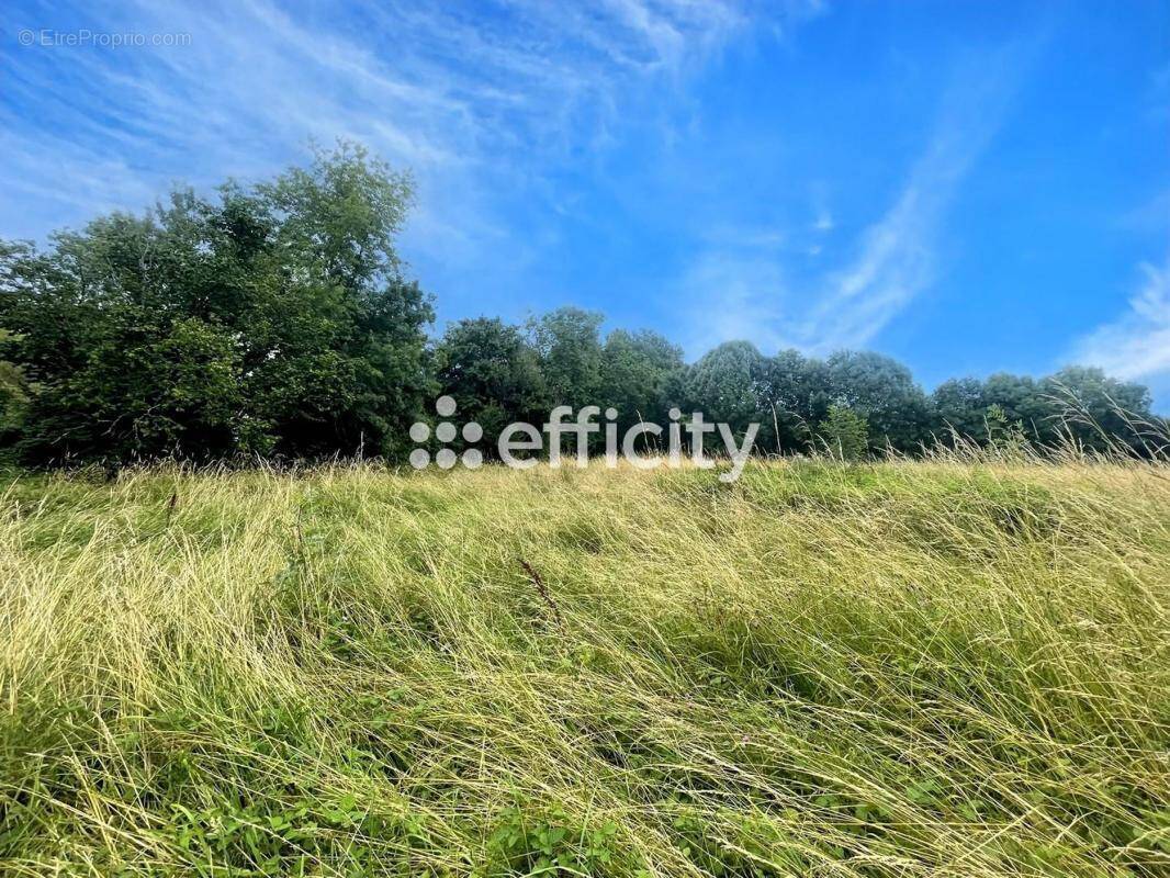 Terrain 3000 m² à Monestier  - photo 4