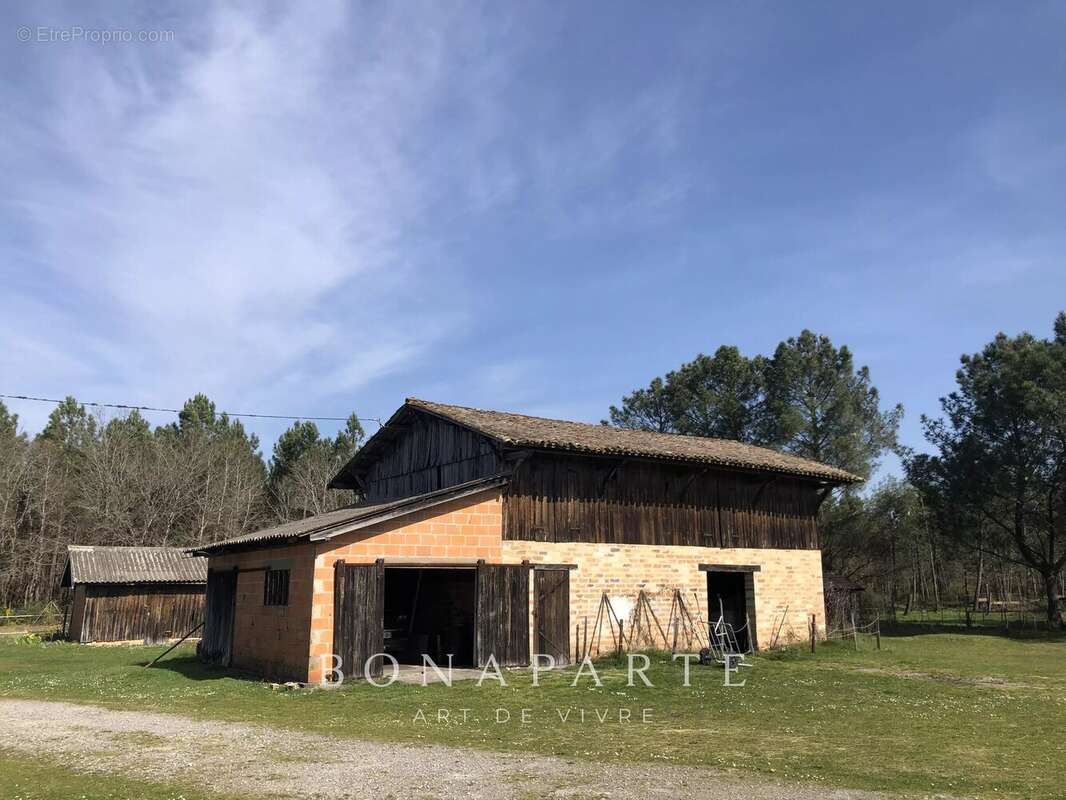Le temple - propriete de 18 hectares a 10 minutes des plages oceanes et 30 minutes de bordeaux - photo 7