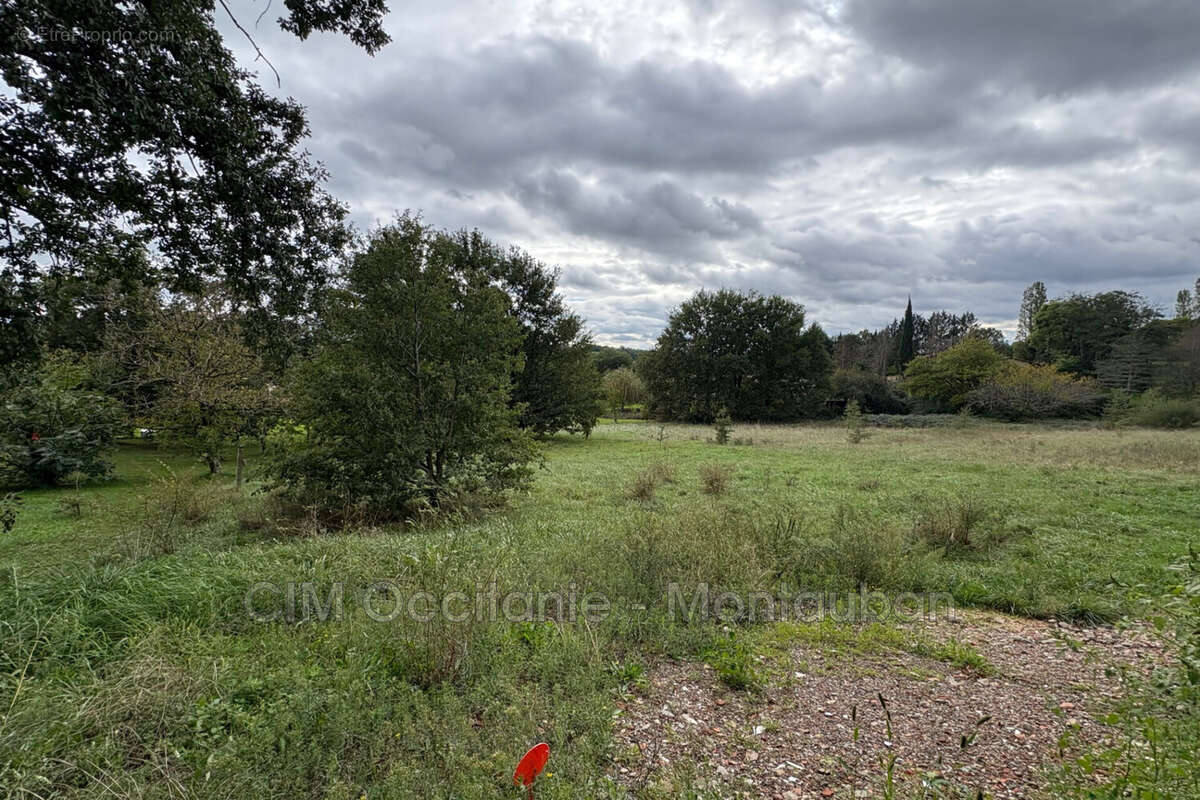 Terrain à LA SALVETAT-BELMONTET