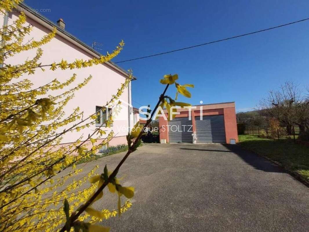 Photo 3 - Maison à CARSPACH