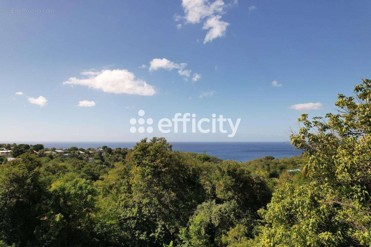 Maison à VIEUX-HABITANTS