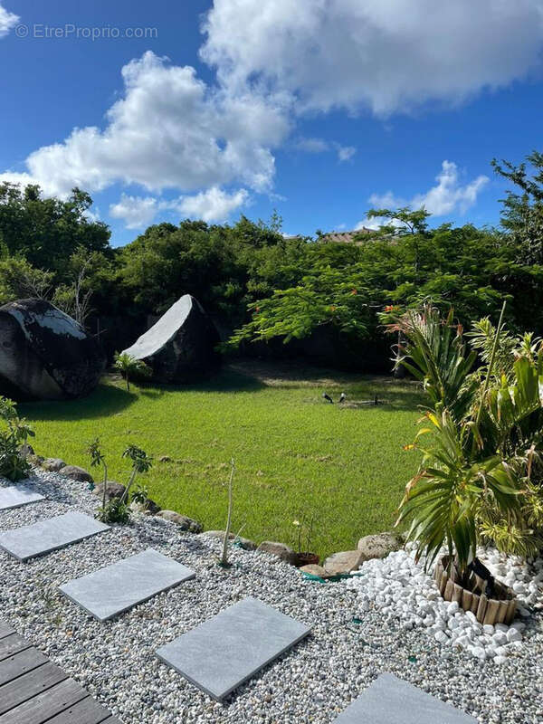 Maison à SAINT-MARTIN