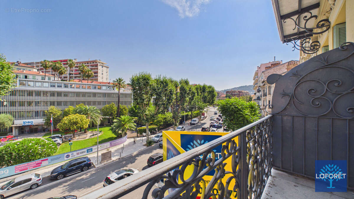 Nice - Carabacel - photo 8