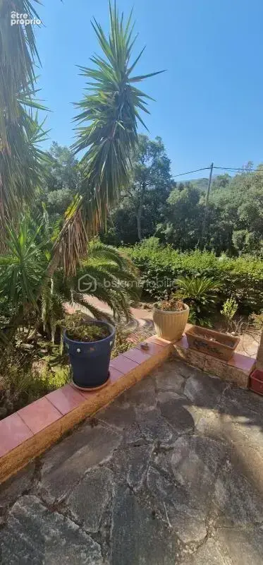 Villa 149 m2 à Pietracorbara - photo 5