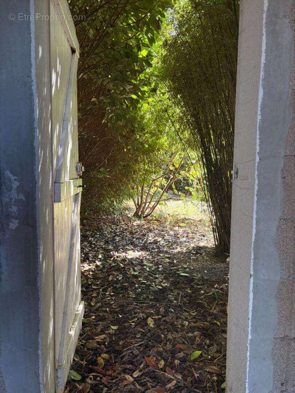 Maison à BENESSE-MAREMNE