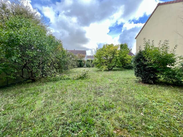 Terrain à BRIE-COMTE-ROBERT