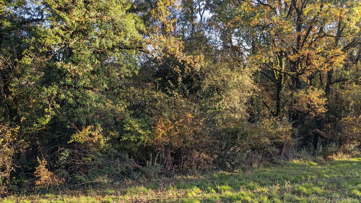 Terrain à SERILHAC