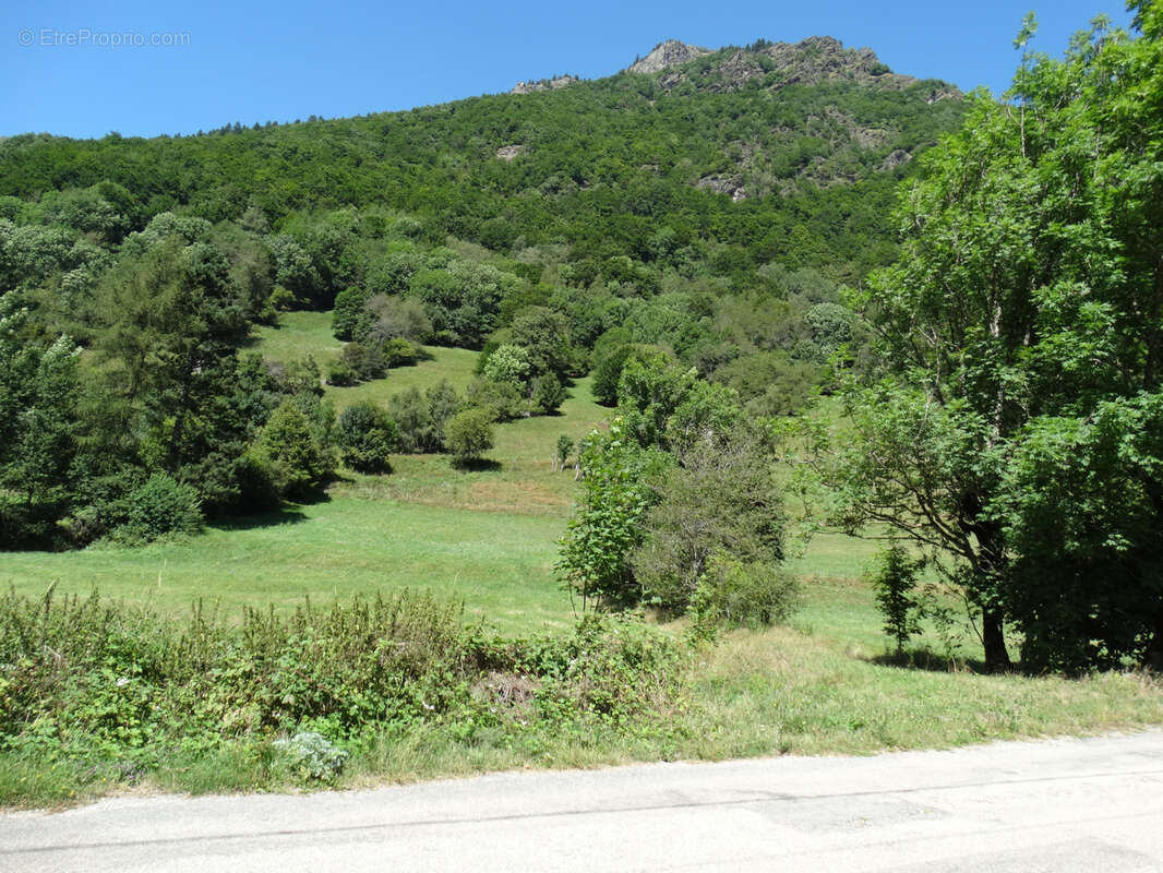 Commerce à LAVALDENS