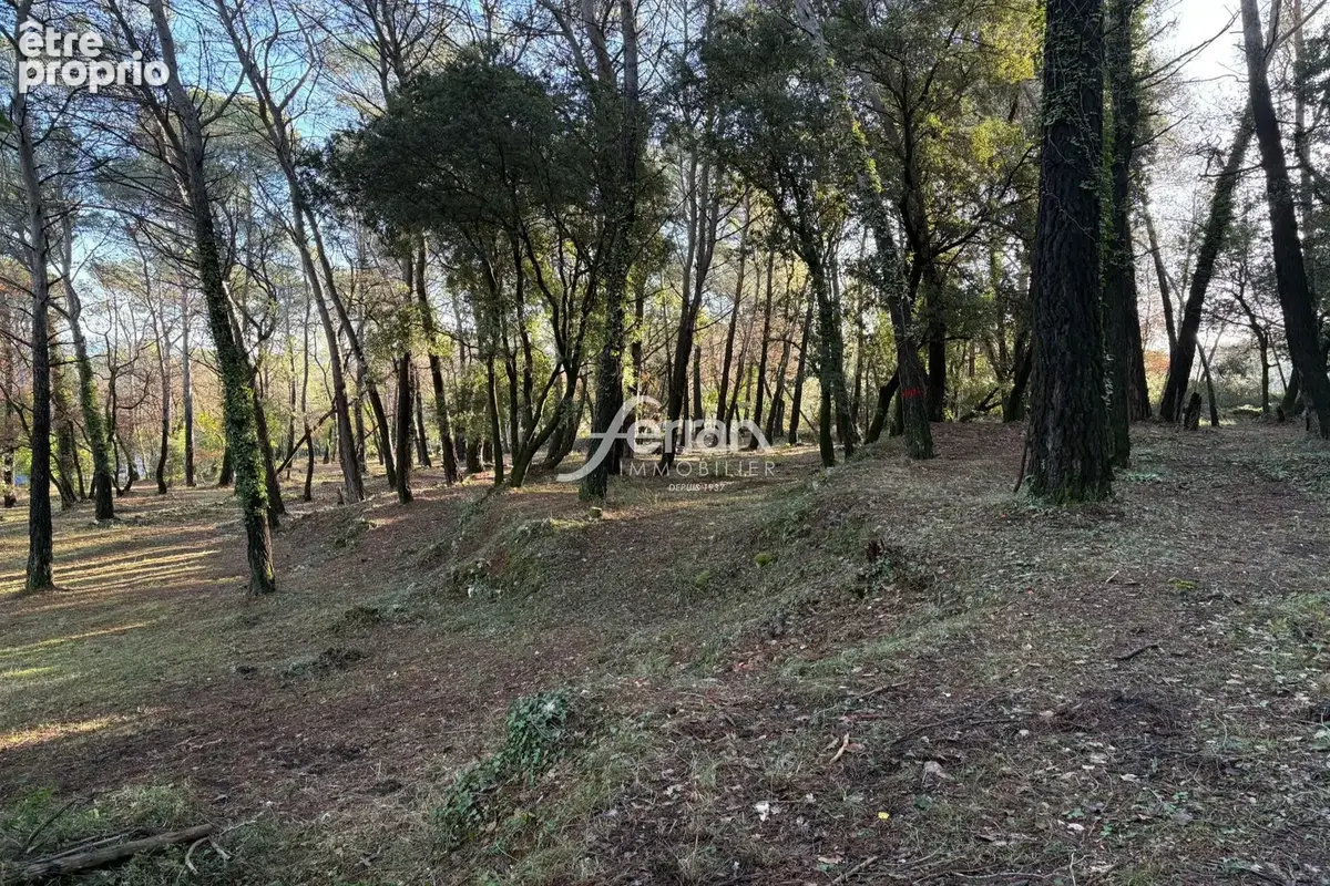 Terrain 7 100 m² à vendre à Callas (83830) - photo 8