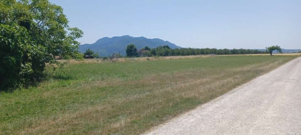 Terrain à SAINT-HILAIRE-DU-ROSIER