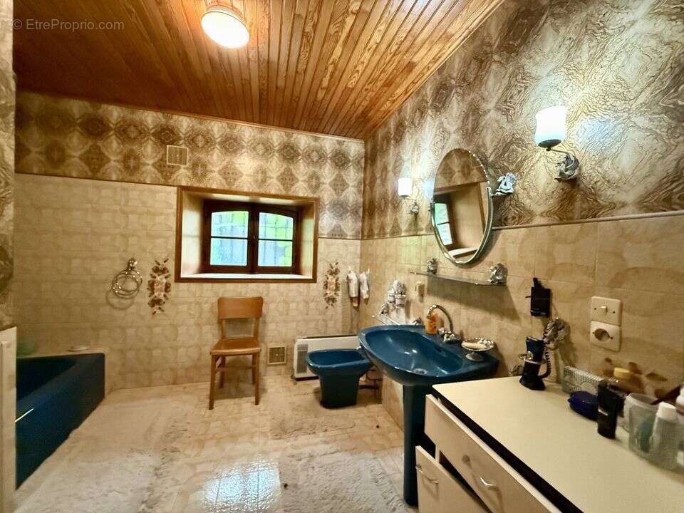 Maison ancienne avec grange et grand terrain - - photo 8