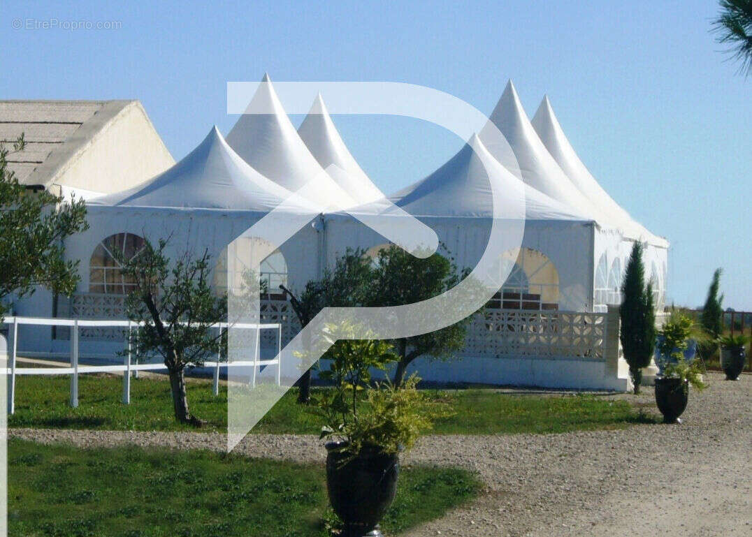 Commerce à SAINT-LAURENT-D&#039;AIGOUZE