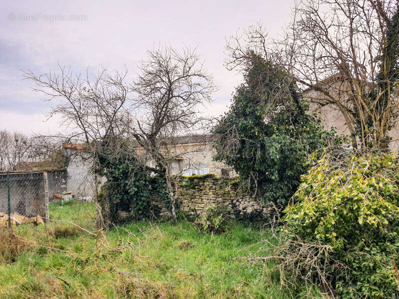 Terrain à PAIZAY-LE-CHAPT