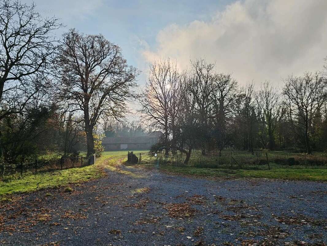 Maison de maitre rénovée avec étang et bois - photo 5