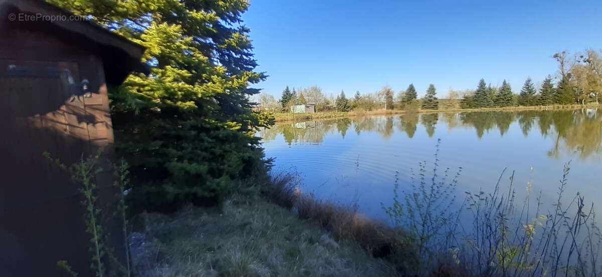 Terrain à CHATEAU-SALINS