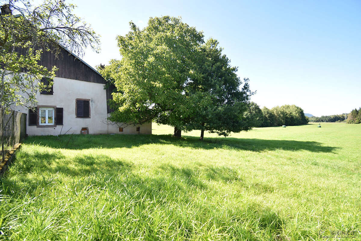 Ferme Mandray 6 pièces 93 m2 - photo 4