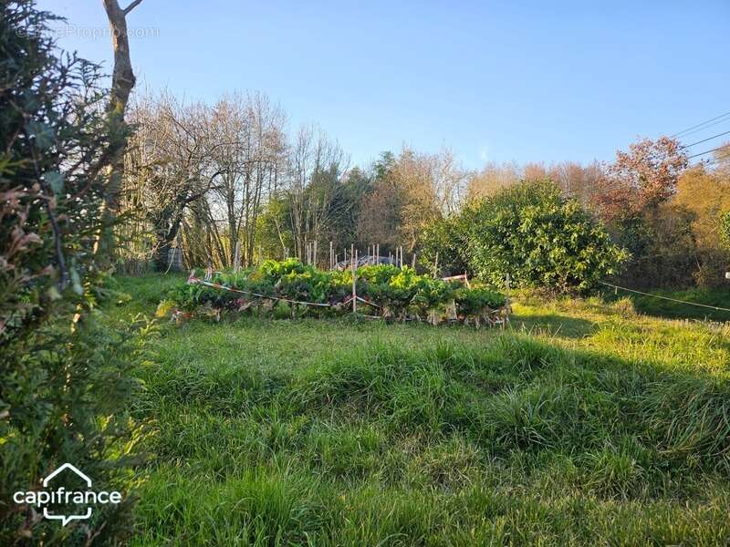 Maison à LA FLOCELLIERE