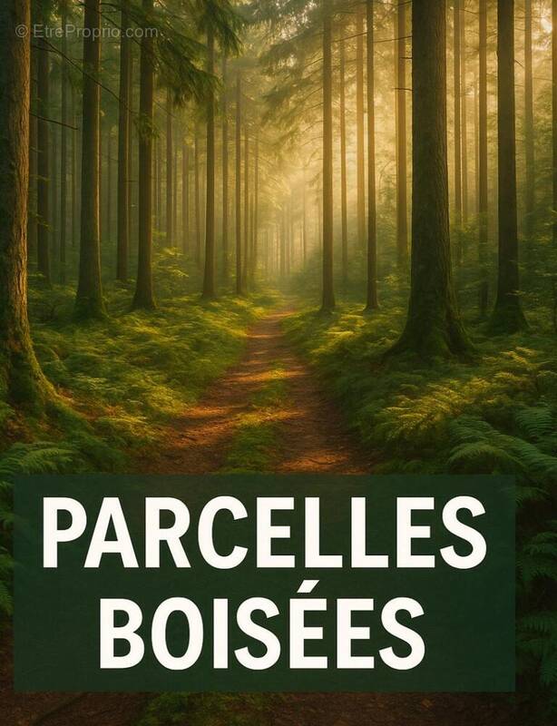 Terrain à CASTELLO-DI-ROSTINO