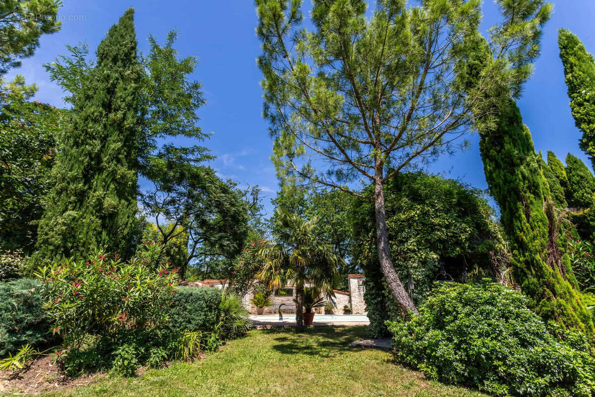 County property with pool and land - photo 7