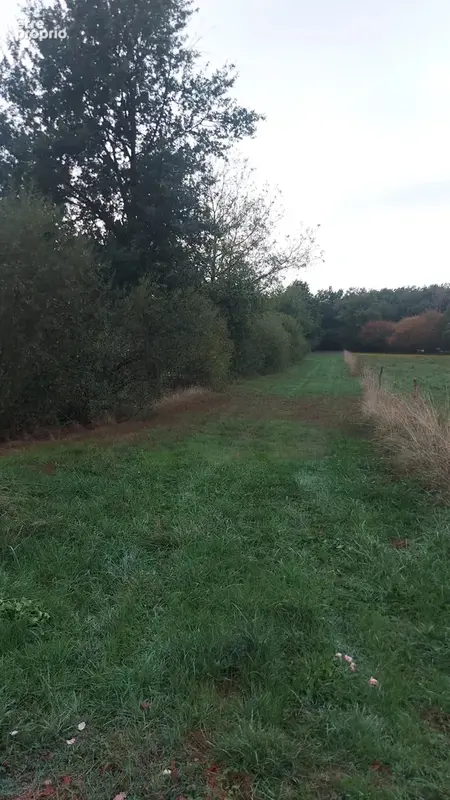 Terrain à ORLEAT