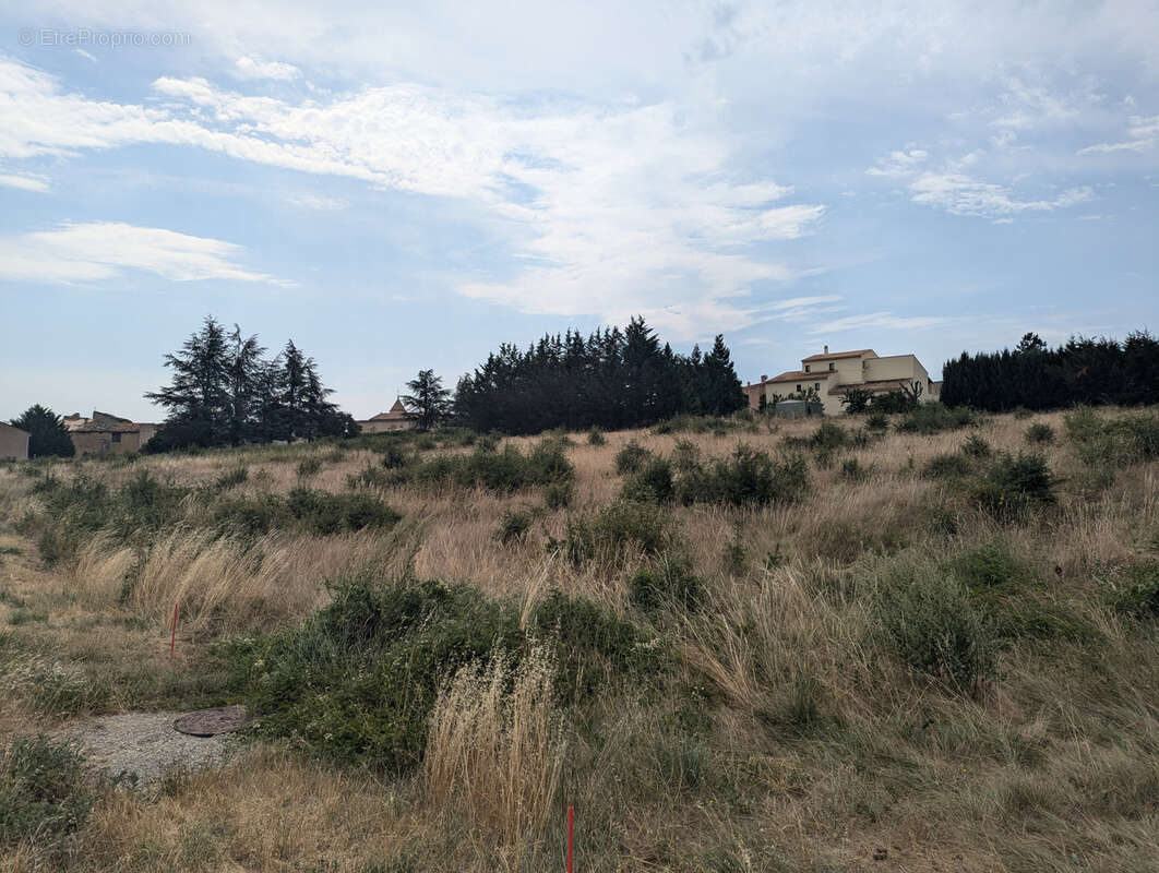 Terrain à SAINT-CHRISTOL