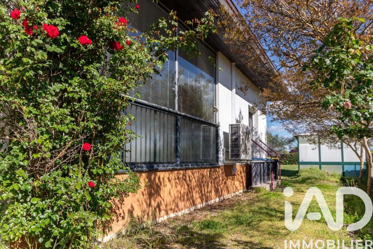 Photo 3 - Maison à MONTAUBAN
