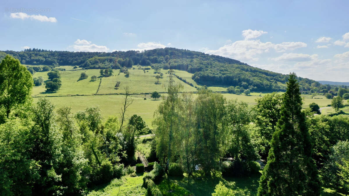 Domaine de caractère à fort potentiel touristique - photo 5