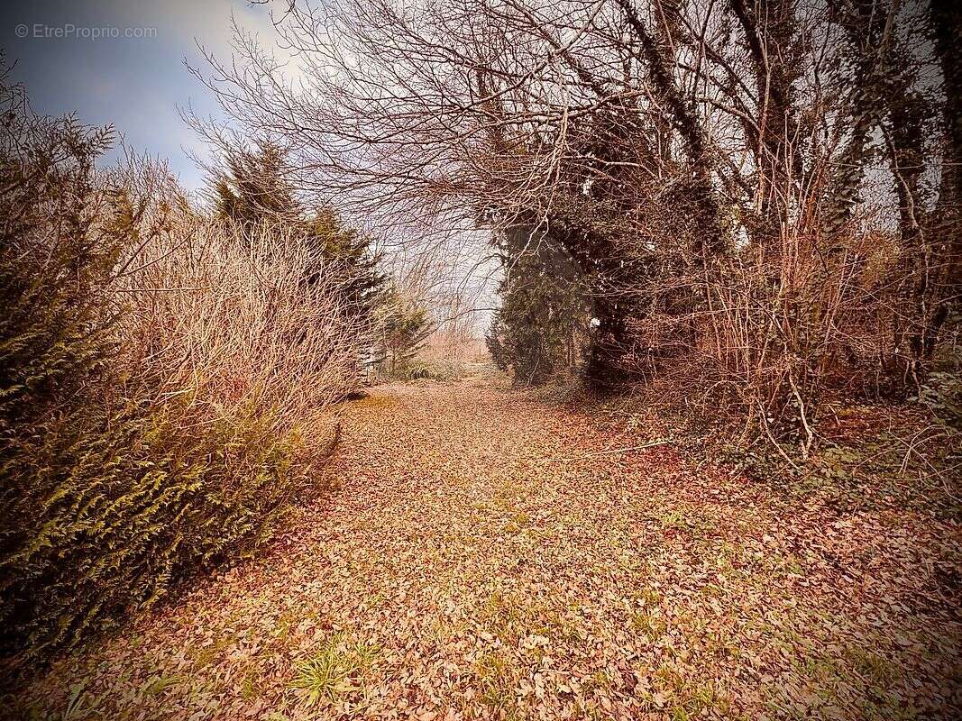 Maison à LA CHARITE-SUR-LOIRE