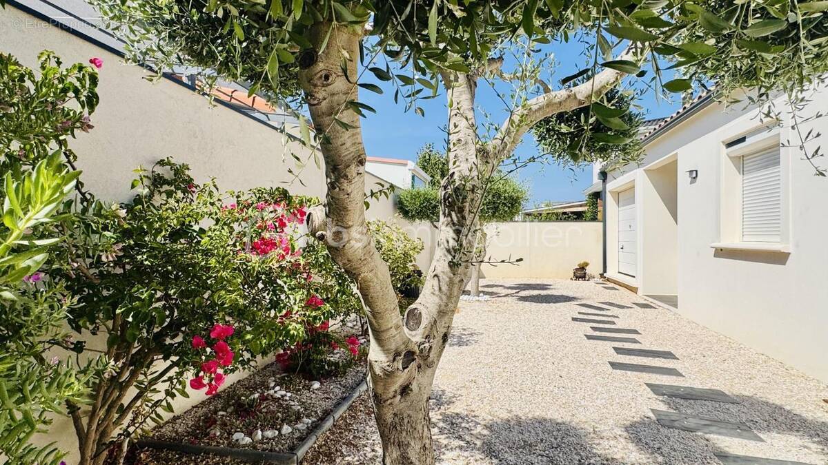 Photo Maison à Narbonne au prix de 387 000€