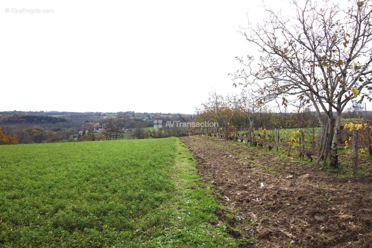Terrain à TEILLOTS