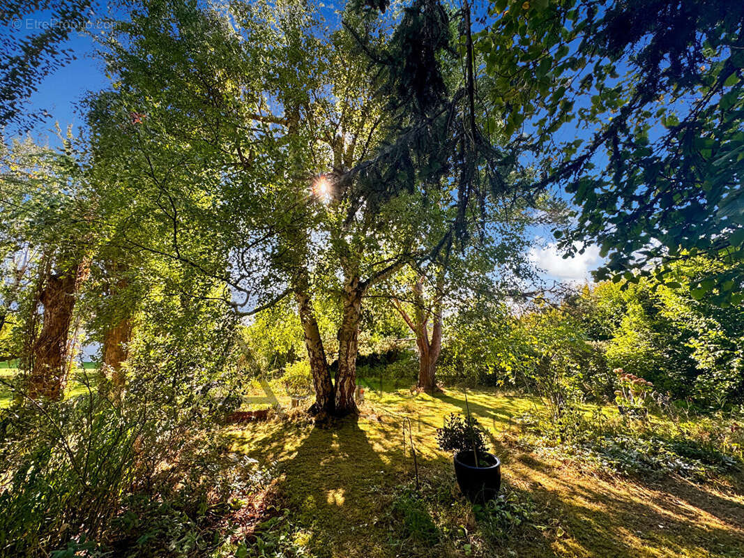 Maison à SAINT-PIERRE-DES-FLEURS
