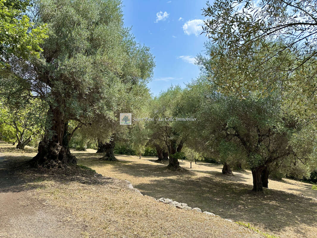 Ancien pigeonnier monastique du XVIIIᵉ siècle   Propriété de caractère sur plus de 2 hectares - photo 26