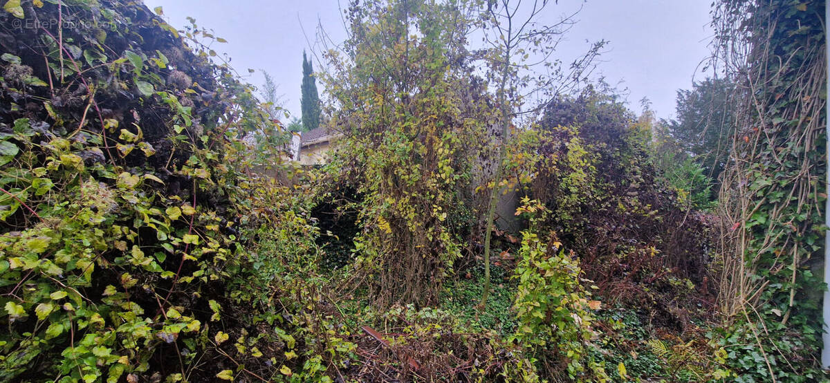 Terrain à MONTSOULT