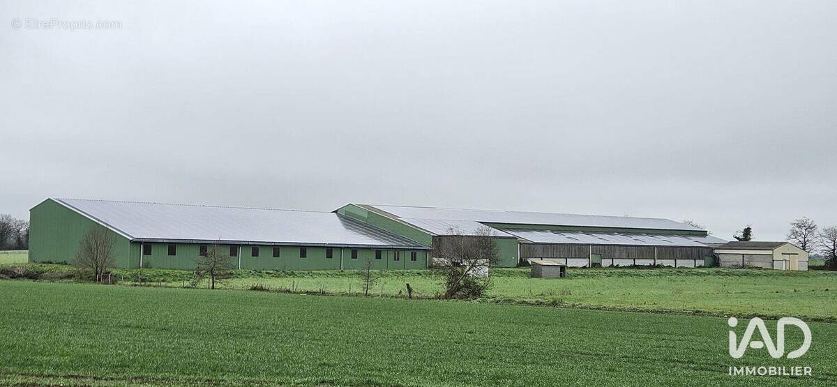 Photo 1 - Commerce à BEAUFOU