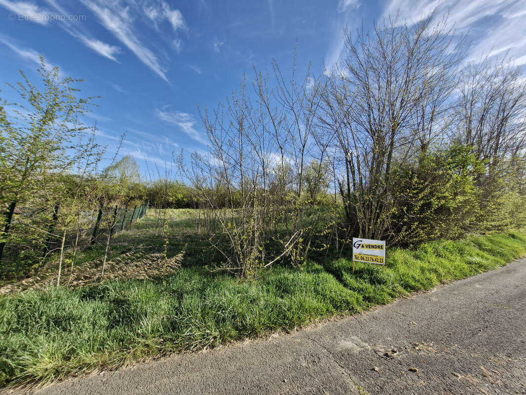 Terrain à CHATEAU-SALINS