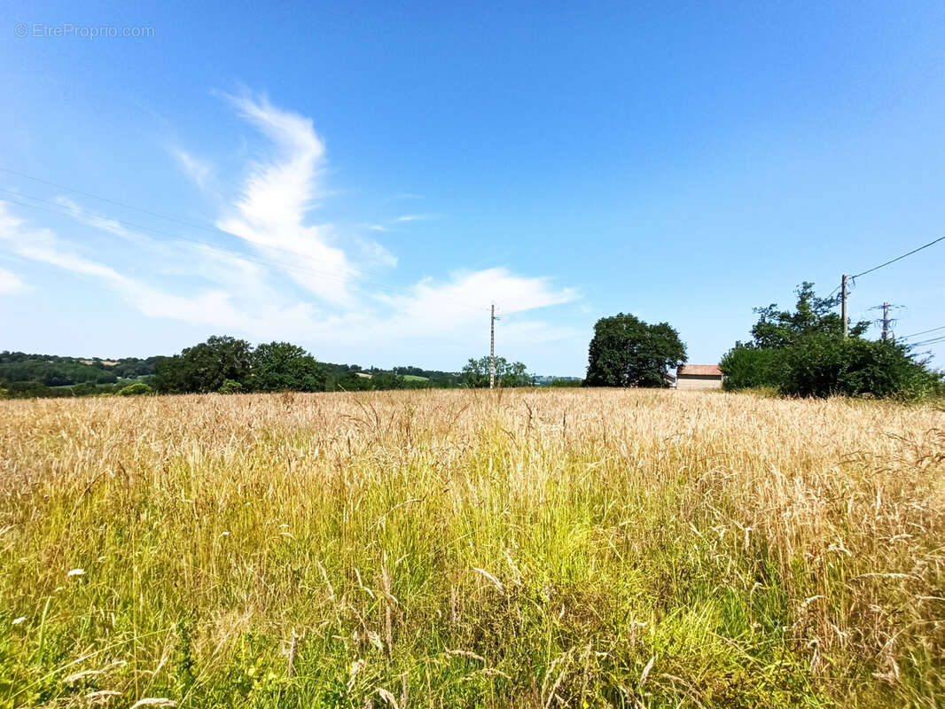 Terrain à ARZACQ-ARRAZIGUET