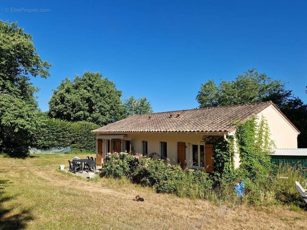 Maison de plain pied, piscine et terrain de 2771m2 - photo 4