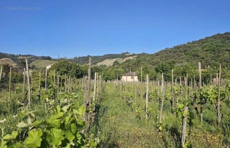 Terrain 526 m² à Cornas  - photo 4