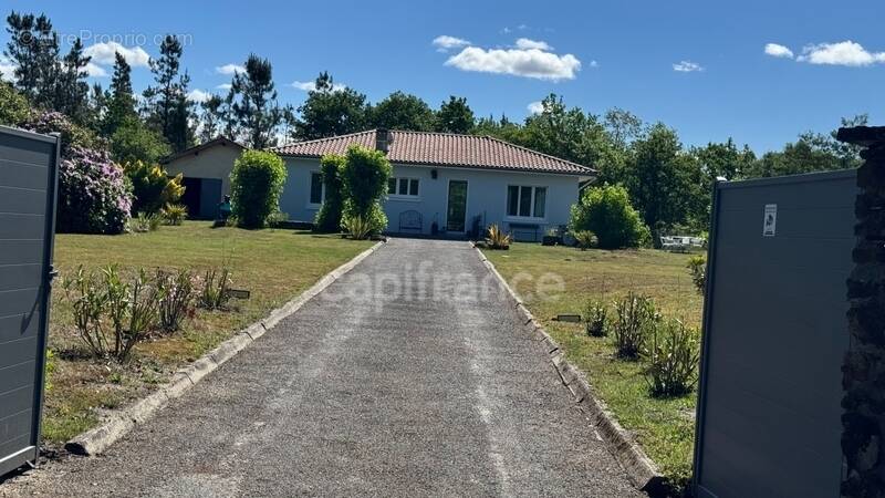 Maison à PARENTIS-EN-BORN