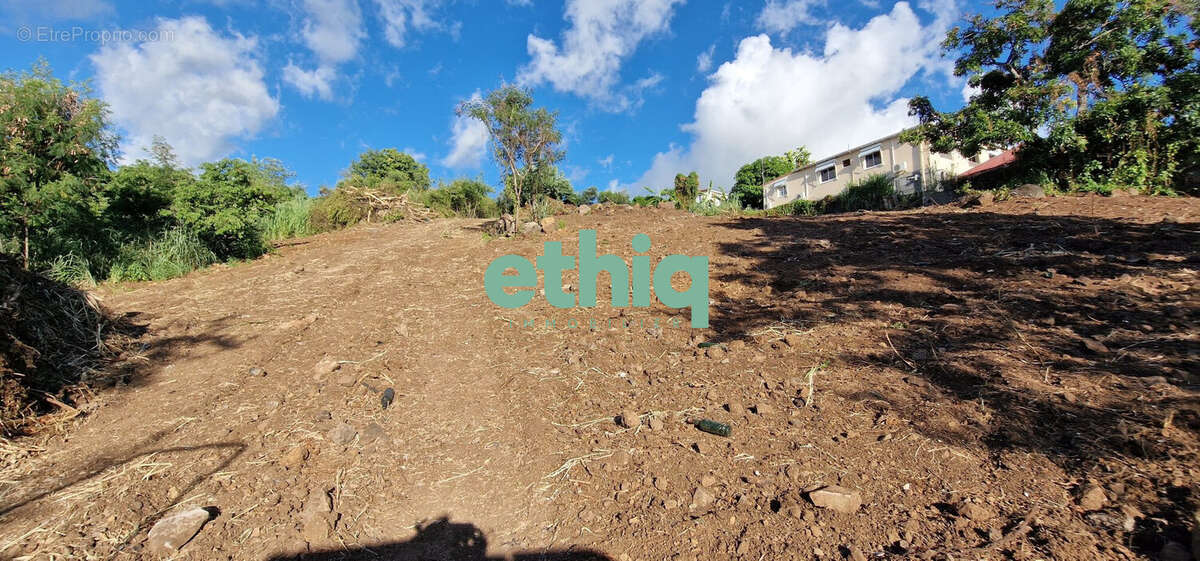 Terrain à VIEUX-HABITANTS