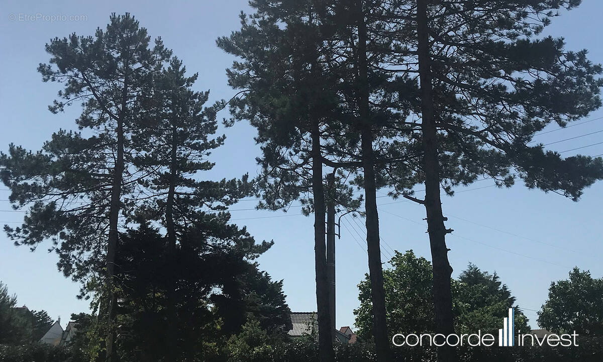 Maison à LE TOUQUET-PARIS-PLAGE