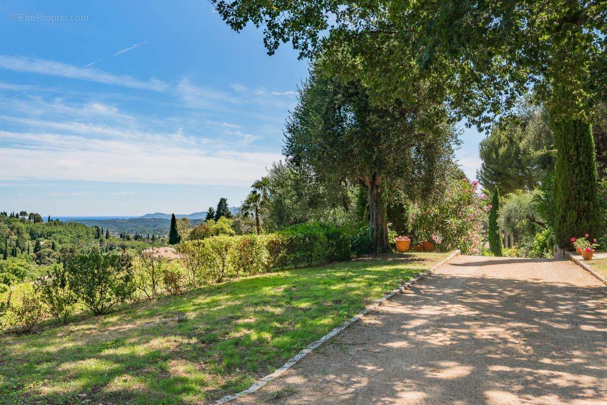 Grasse Saint Mathieu - Magnifique propriété composée de 2 maisons en pierre avec piscine - photo 3