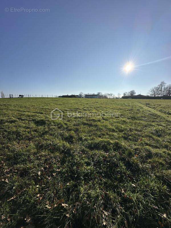 Terrain à CLERAC