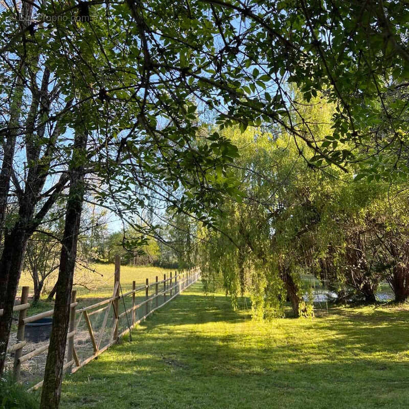 Country property with pool and stables - photo 15