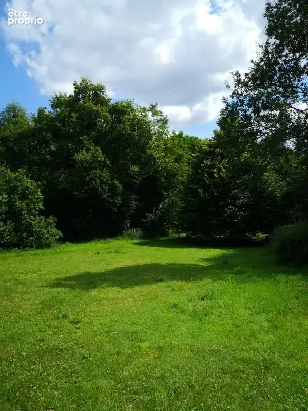 cadre bucolique pour ce domaine compose de 3 maisons sur 15 000 m2 - photo 12