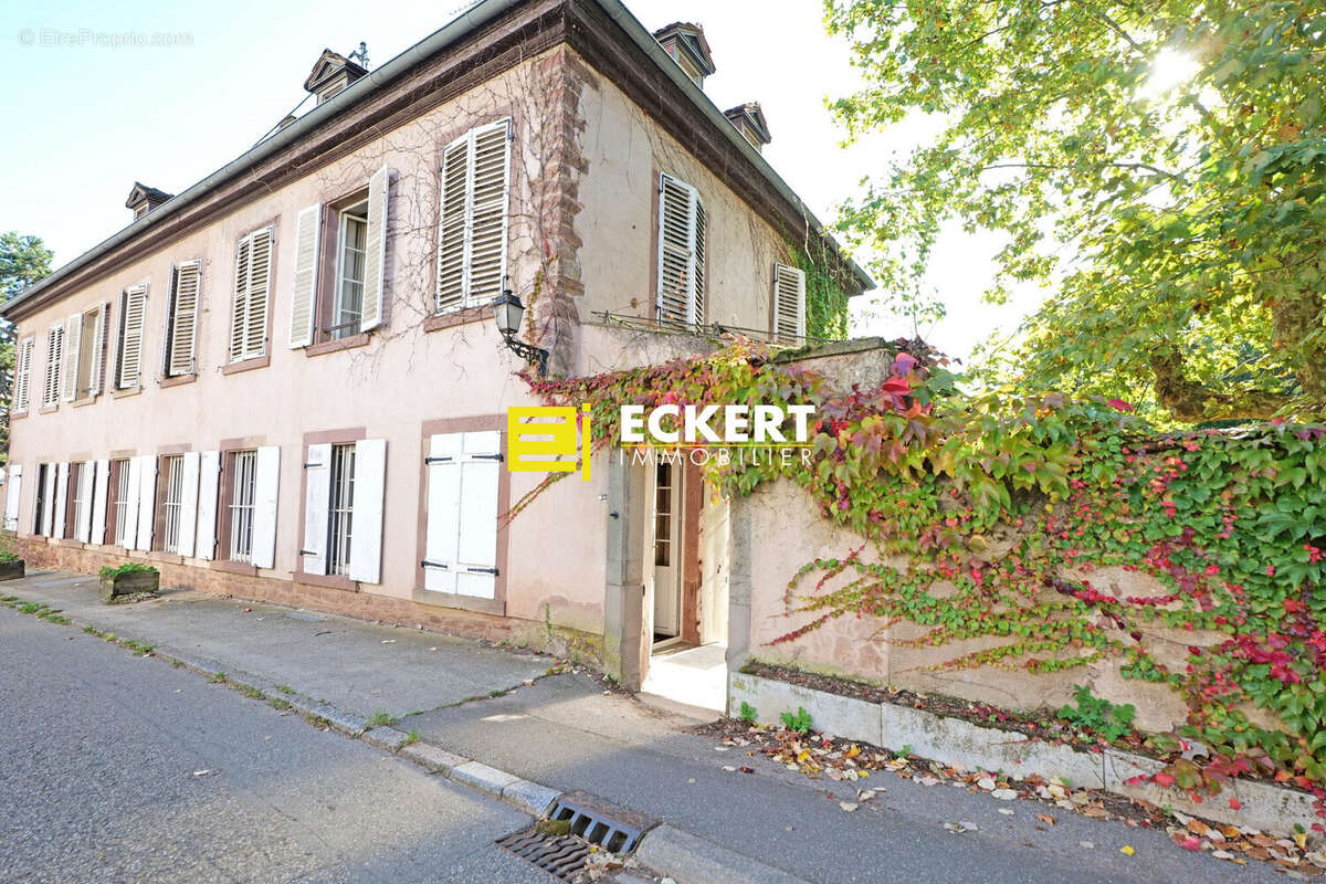 Maison 295 m² à Wolxheim  - photo 5