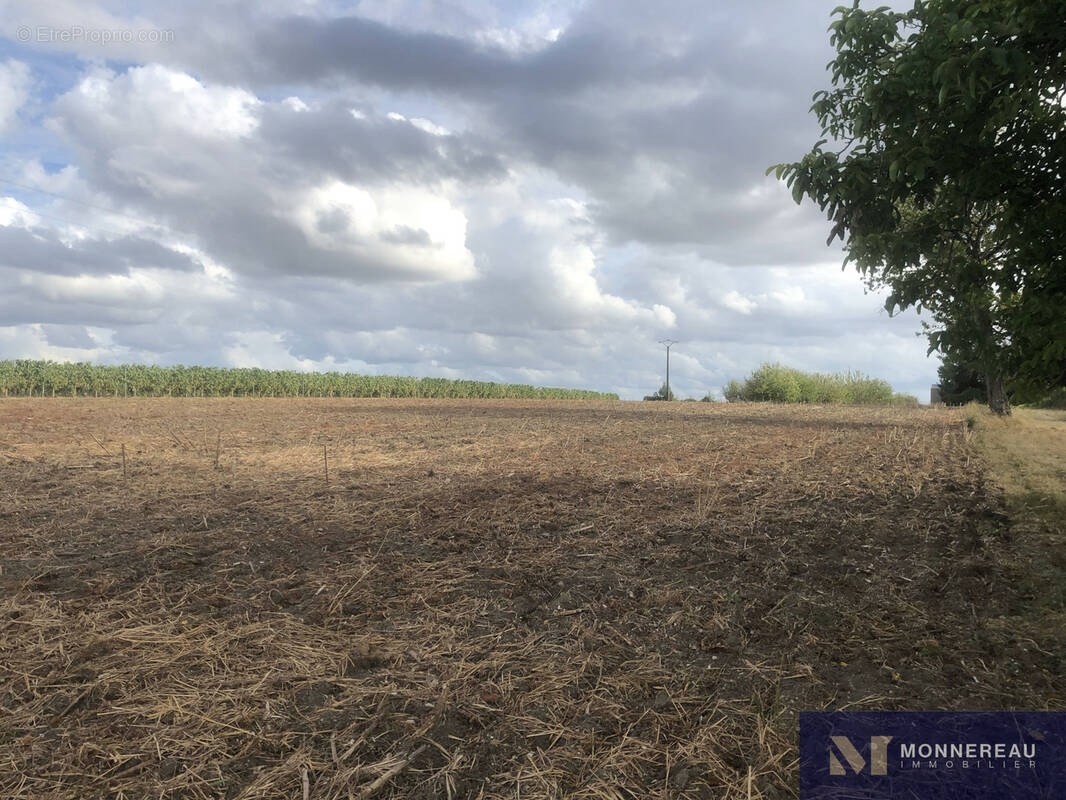 Terrain à SAINT-MAIGRIN