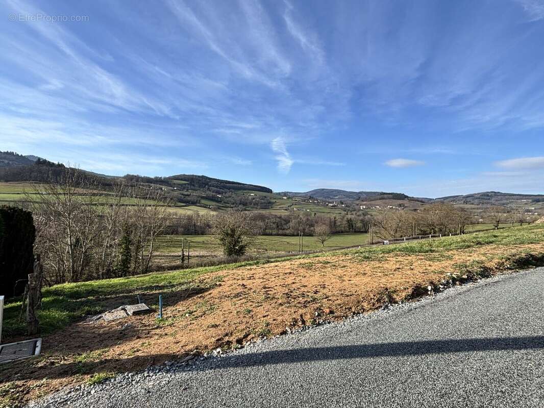 Terrain à LES ARDILLATS