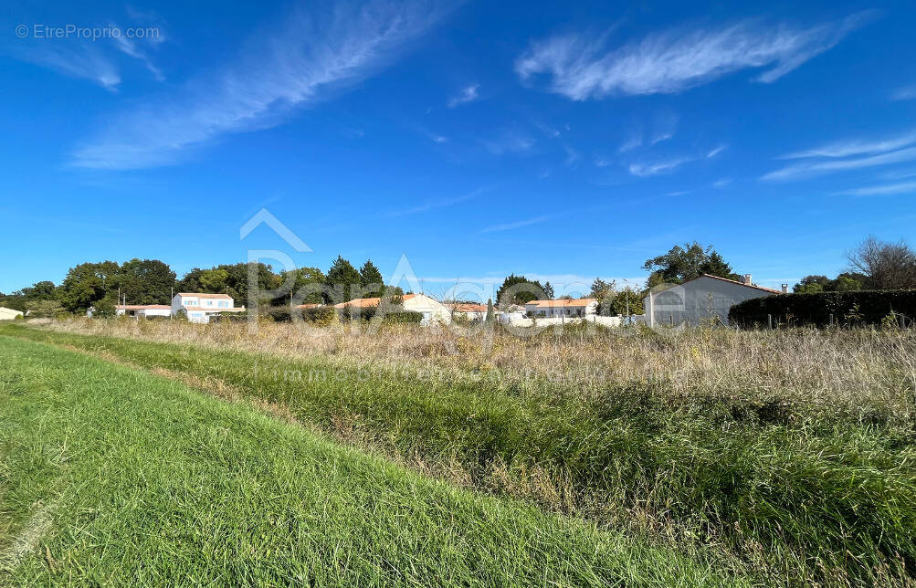 Terrain à SAUJON